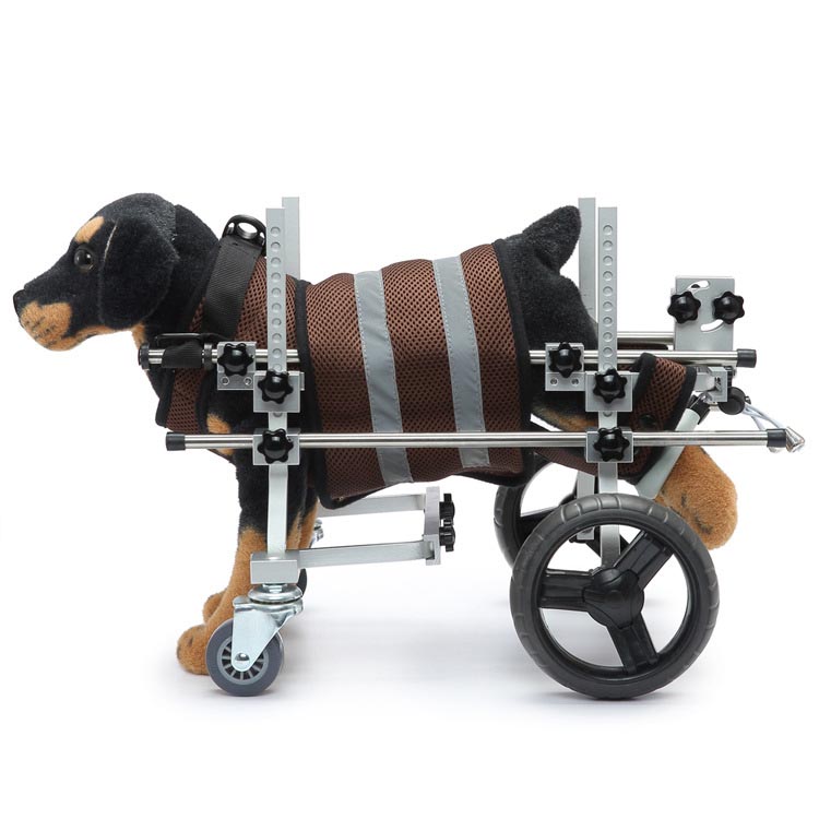 障害のあるペット車椅子またはその他の手段を介して障害犬を活性に保つ方法は？